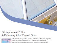 Plkington Active Blue Glass